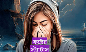 কষ্টের স্ট্যাটাস