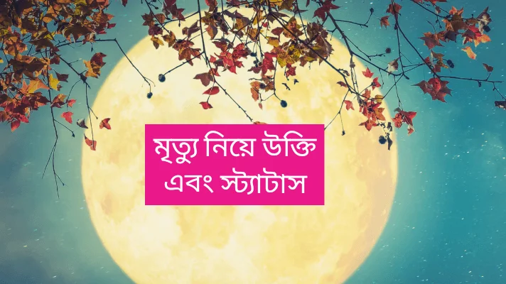 মৃত্যু নিয়ে উক্তি