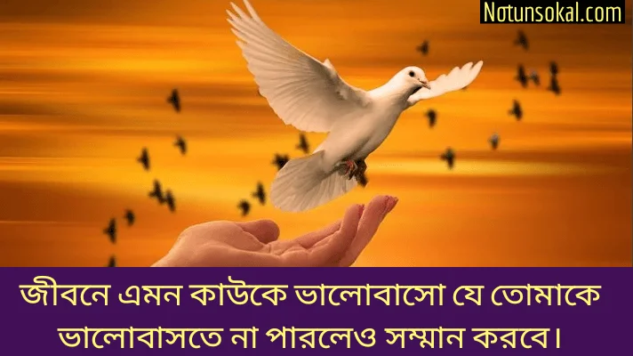 উক্তি-স্ট্যাটাস-সম্মান-নিয়ে-ক্যাপশন-পোস্ট