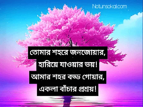 Bangla-Shayari-Love