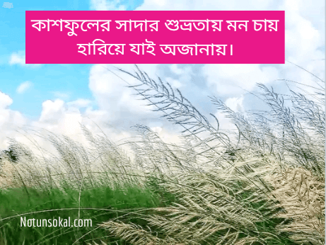 ফেসবুক-ক্যাপশন