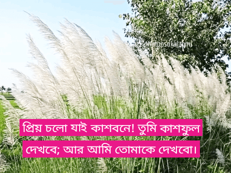 বাংলা-ক্যাপশন