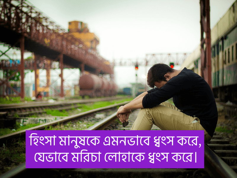 হিংসা-নিয়ে-ক্যাপশন