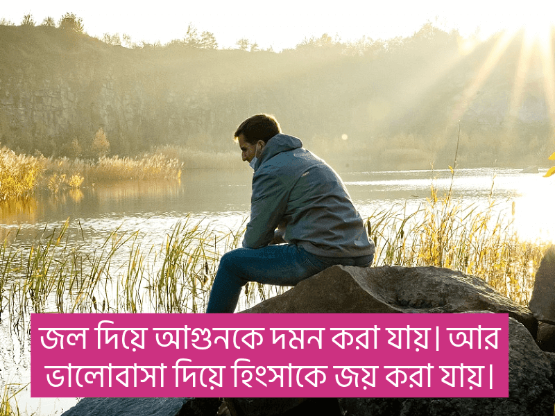 হিংসা-নিয়ে-স্ট্যাটাস