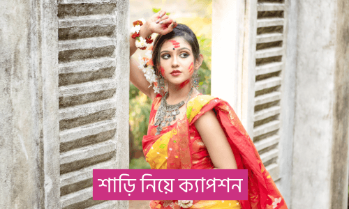 শাড়ি নিয়ে উক্তি