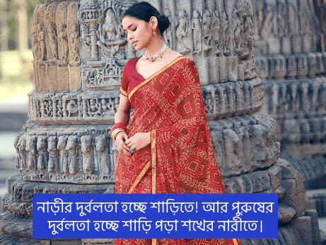 শাড়ি-নিয়ে-কবিতা