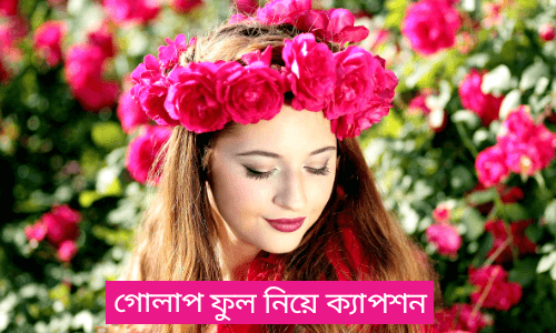 গোলাপ ফুল নিয়ে ক্যাপশন