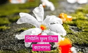 শিউলি ফুল নিয়ে ক্যাপশন