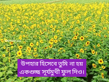 ফেসবুক-ক্যাপশন