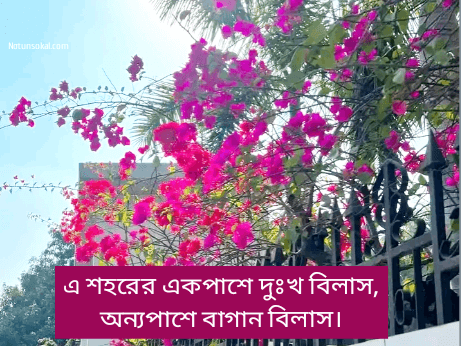 ফেসবুক-ক্যাপশন