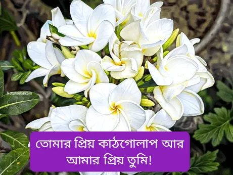 বাংলা-ক্যাপশন