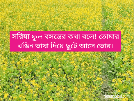 বাংলা-ক্যাপশন