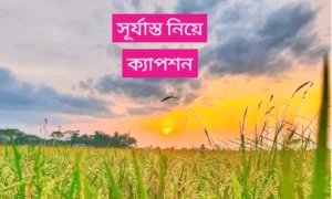 সূর্যাস্ত নিয়ে ক্যাপশন