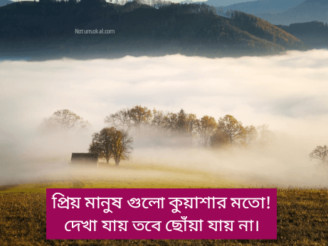 কুয়াশা-নিয়ে-কবিতা