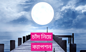 চাঁদ নিয়ে উক্তি