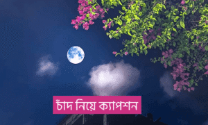 চাঁদ নিয়ে উক্তি