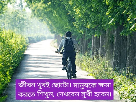 ক্ষমা-নিয়ে-স্ট্যাটাস