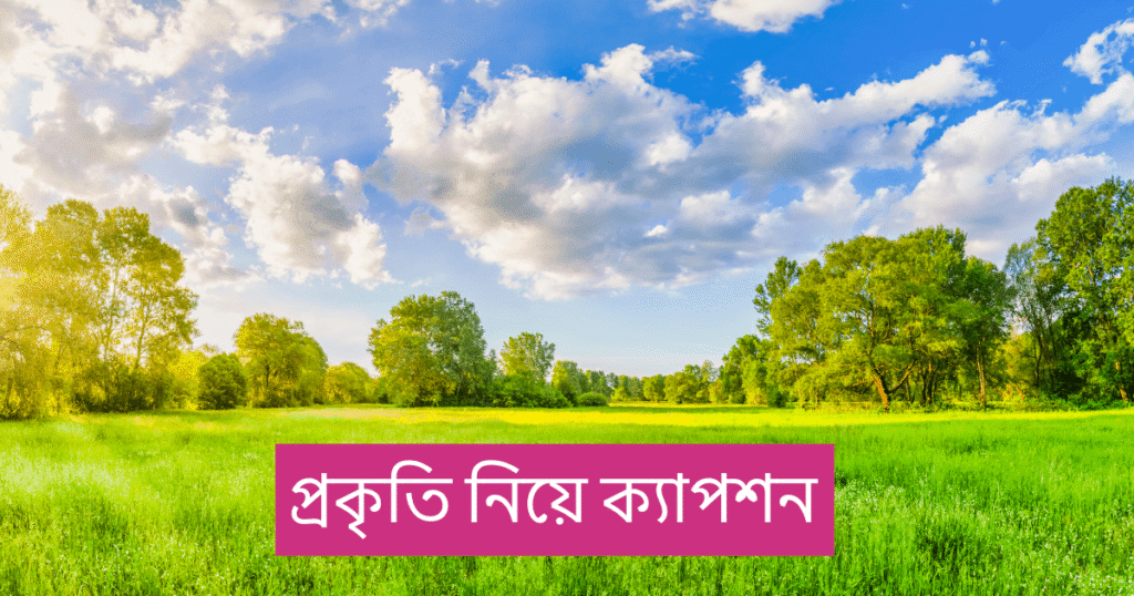 প্রকৃতি নিয়ে ক্যাপশন