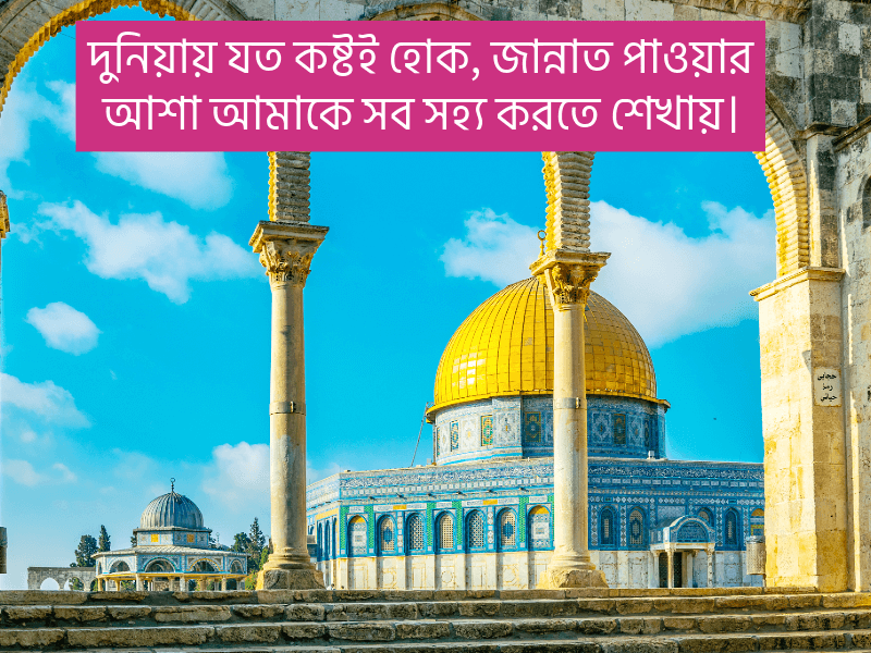 ইসলামিক-স্ট্যাটাস-পিকচার