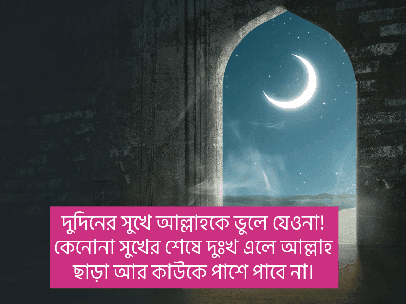 ইসলামিক-স্ট্যাটাস