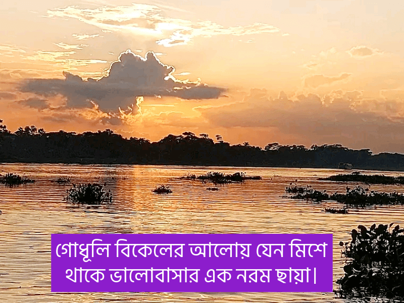 গোধূলি-বিকেল-নিয়ে-ক্যাপশন