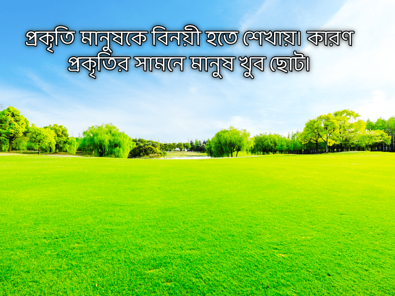 প্রকৃতি-নিয়ে-ইসলামিক-ক্যাপশন