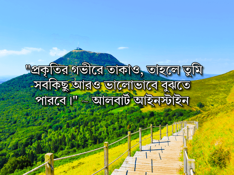 প্রকৃতি-নিয়ে-উক্তি
