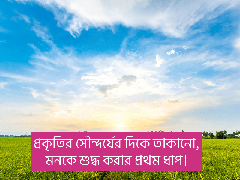 প্রকৃতি-নিয়ে-উক্তি