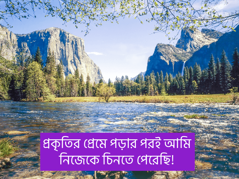 প্রকৃতি-নিয়ে-ক্যাপশন-বাংলা