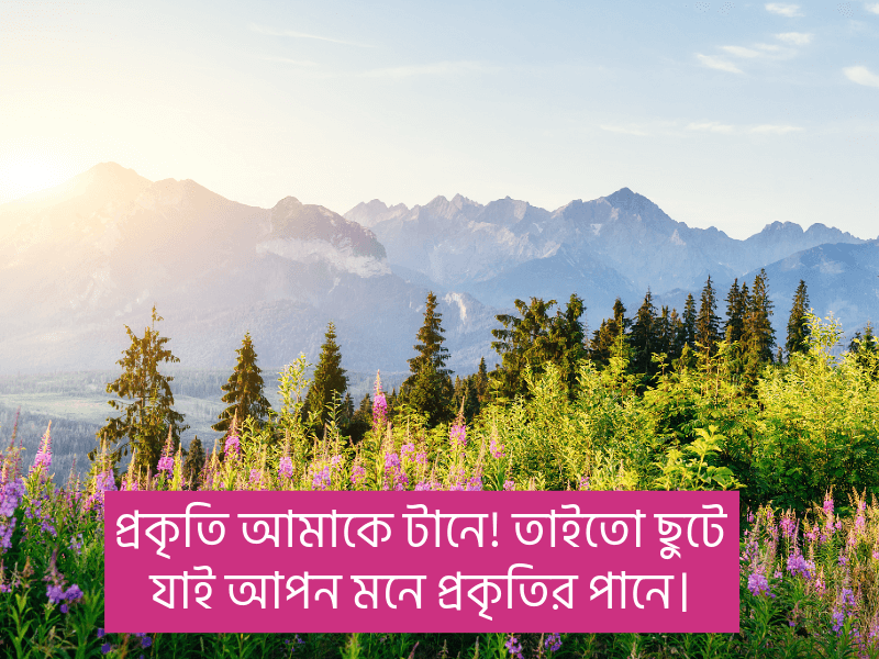 প্রকৃতি-নিয়ে-ক্যাপশন