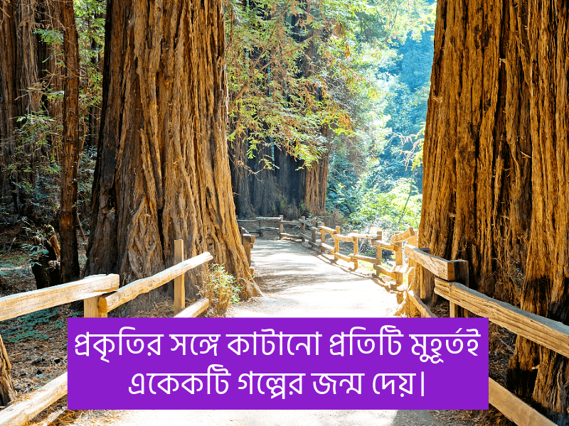 প্রকৃতি-নিয়ে-ছোট-ক্যাপশন