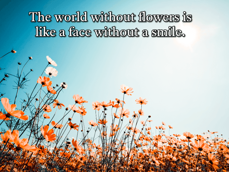 ফুল-নিয়ে-ইংলিশ-ক্যাপশন