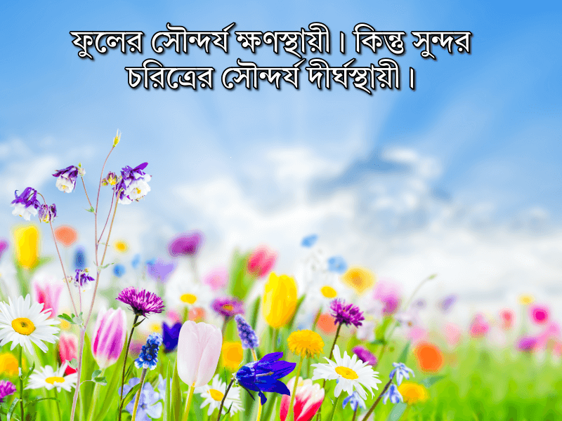 ফুল-নিয়ে-ইসলামিক-ক্যাপশন