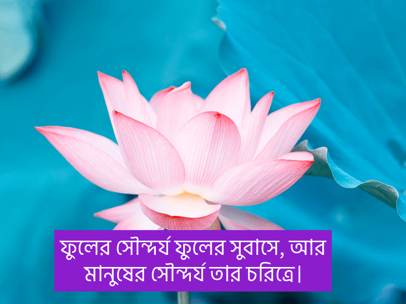 ফুল-নিয়ে-ইসলামিক-ক্যাপশন