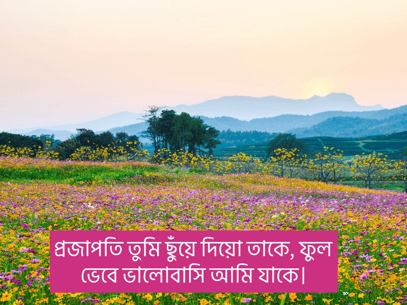 ফুল-নিয়ে-উক্তি