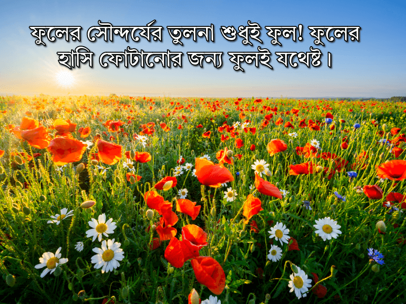 ফুল-নিয়ে-ক্যাপশন-বাংলা