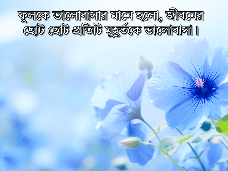 ফুল-নিয়ে-স্ট্যাটাস