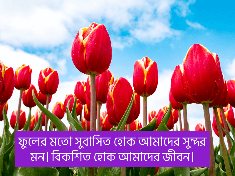 ফুল-নিয়ে-স্ট্যাটাস