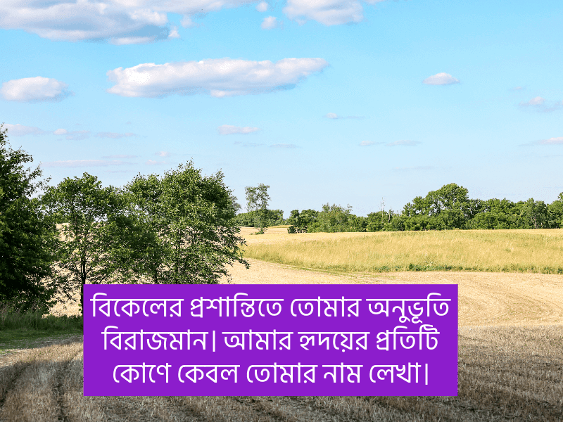 বিকেল-নিয়ে-স্ট্যাটাস