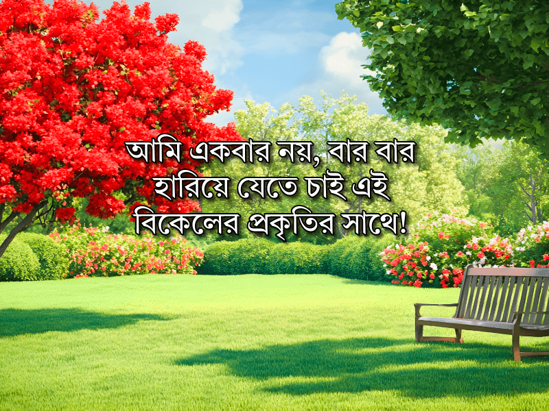 বিকেলের-প্রকৃতি-নিয়ে-ক্যাপশন