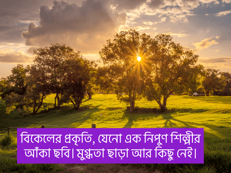 বিকেলের-প্রকৃতি-নিয়ে-ক্যাপশন