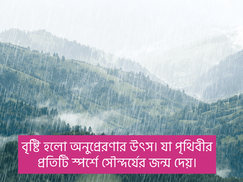 বৃষ্টি-নিয়ে-উক্তি