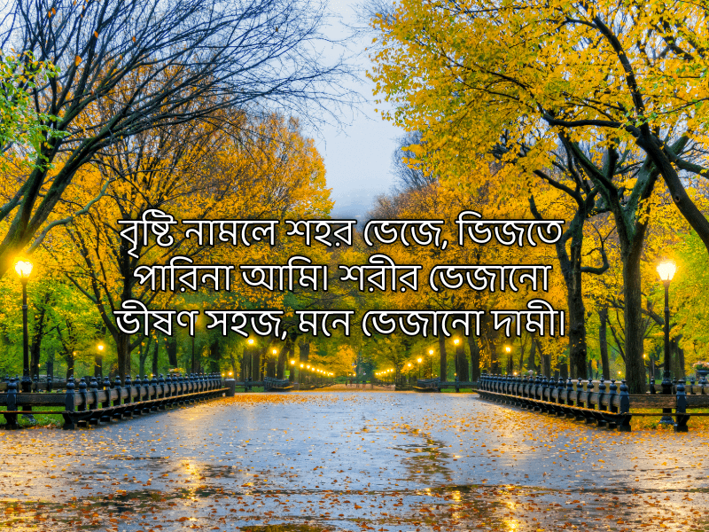 বৃষ্টি-নিয়ে-কবিতা-ক্যাপশন