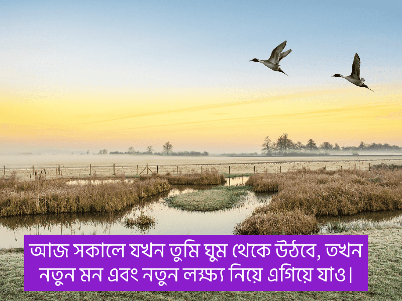 সকাল-নিয়ে-উক্তি