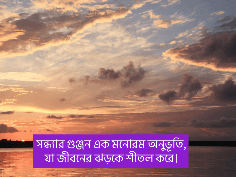সন্ধ্যা-নিয়ে-উক্তি