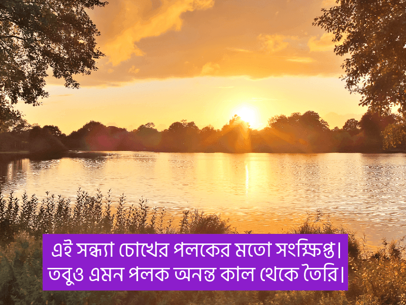 সন্ধ্যা-নিয়ে-মেসেজ