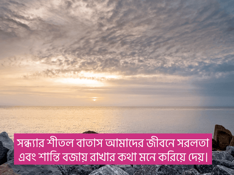 সন্ধ্যা-নিয়ে-স্ট্যাটাস