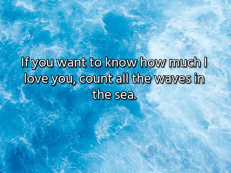 সমুদ্র-নিয়ে-ইংলিশ-ক্যাপশন