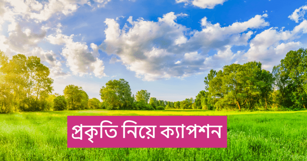 প্রকৃতি নিয়ে ক্যাপশন