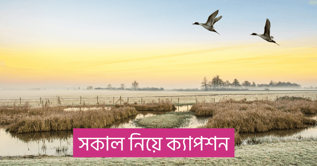 সকাল নিয়ে ক্যাপশন